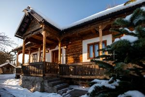 a log cabin in the snow with a christmas tree at The Forest Nest in Dealu Armanului