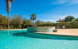 a swimming pool in a resort with a palm tree at Mirabo Ramonet in Felanitx