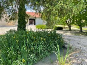 a field of plants with a building in the background at Les bulles lissoises in Lisse