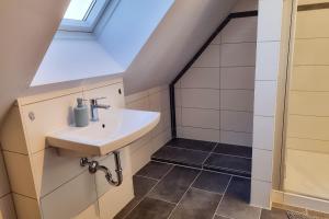 a bathroom with a sink and a shower at Ferienwohnungen Alte Molkerei in Kläden +40 photos