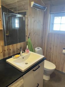 a bathroom with a sink and a toilet at Mountain cabin in Lillehammer in Lillehammer +23 photos