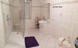 a bathroom with a shower and a toilet and a sink at Gaestehaus Remde in Erfurt +34 photos