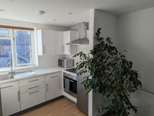a kitchen with a plant in the middle of it at Romeo's Retreat in Stratford-upon-Avon