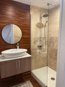 a bathroom with a sink and a shower at La Parenthèse de Victoire in Aigues-Mortes