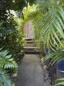 a path through a garden with palm trees and a building at Stylish villa with private pool in Koolbaai in Koolbaai