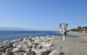 a tree on a rocky beach next to the water at Awesome Apartment In Palmi in Palmi +5 photos