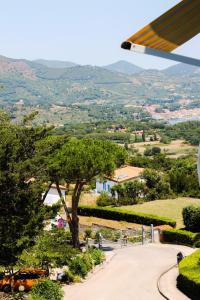 a view of a park with a tree and mountains at Capoliveri Lecce Home in Capoliveri