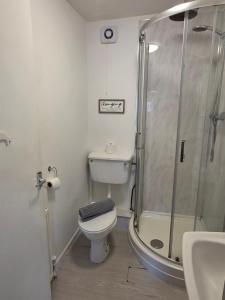 a bathroom with a shower and a toilet and a sink at Horizon Hideaway in Swansea