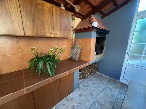 a kitchen with a vase of flowers on a counter at Casa Mary Bela's in Ponta do Sol
