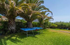 a blue ping pong table in front of two palm trees at Port Nou in Cala Bona