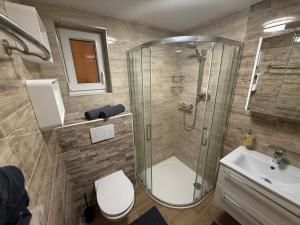 a bathroom with a shower and a toilet and a sink at Chalet U Pstruha in Vimperk