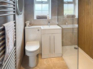 a bathroom with a toilet and a sink and a shower at Cleveland View Cottage in North Cowton