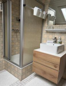 a bathroom with a sink and a shower at Refugium by Zirwick Apartment in Weiherhammer