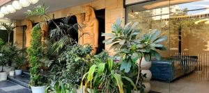 Gallery image of The Orchid Residency in Gurgaon