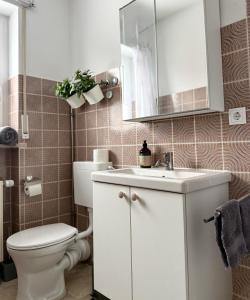 a bathroom with a white toilet and a sink at Solo by Zirwick Apartment in Weiherhammer