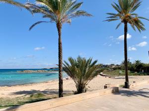 a beach with palm trees and the ocean at APT Copacabana-Es Pujols playa in Es Pujols