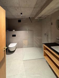 a bathroom with a shower and a toilet and a sink at Apartmán Ore&Moor in Boží Dar