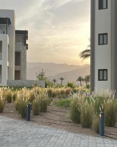 a rendering of a building with a courtyard with plants at Sifa Golf & Beach Escape in As Sīfah