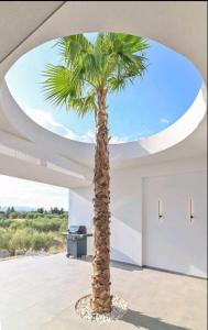 a palm tree in a room with a ceiling at Palme Luxury Villa in Galatás