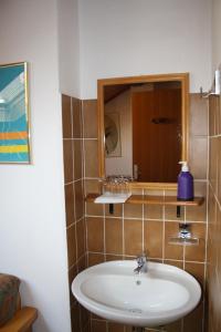 a bathroom with a sink and a mirror at Penzion Sinji vrh in Zoll