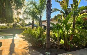 a garden with palm trees and a swimming pool at Très Beau Gîte Piscine - Spa in Solliès-Pont