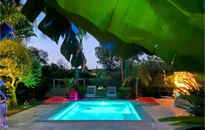a swimming pool in a backyard with a tree at Très Beau Gîte Piscine - Spa in Solliès-Pont +12 photos