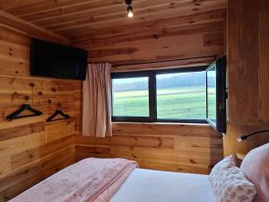 a bedroom with a bed and a window with a television at La Bucolique de Tahier in Ohey