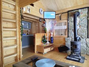a living room with a stove in a cabin at Kolibaba in Dolný Kubín