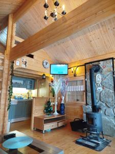 a living room with a fireplace in a cabin at Kolibaba in Dolný Kubín