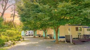 a row of benches under a tree in front of a caravan at Gapyeong Karabankaempingnongwon in Gapyeong