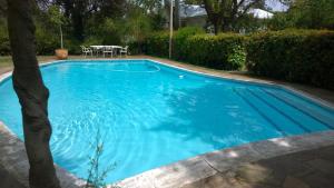 a large blue swimming pool with a table and chairs at ArtKaroo Stay in Oudtshoorn