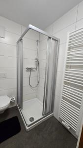 a shower with a glass door in a bathroom at Wirt zSeifriedswörth in Wurmsham