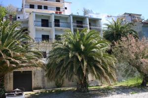 a building with palm trees in front of it at 230 MESTRO in Stanići