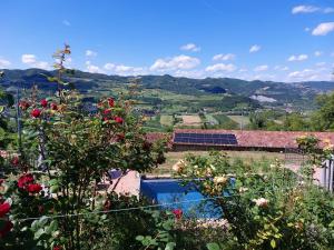 a view of a house with a pool and flowers at La Luna Buona in Vesime