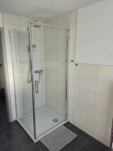 a shower with a glass door in a bathroom at Ostseecamping am Salzhaff in Pepelow +31 photos