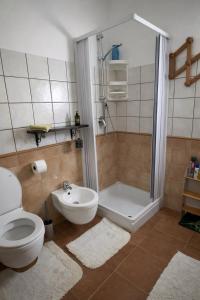 a bathroom with a shower and a toilet and a sink at Da Nonno Francesco in Teulada