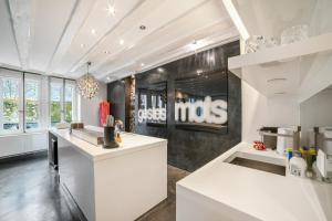 a kitchen with a white counter in a room at Fontaine in Geneva +5 photos