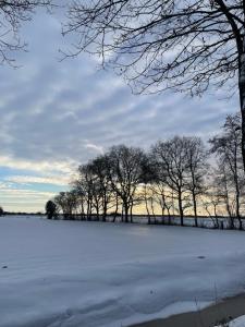 a field covered in snow with trees in the background at Huisje De Tùnfûgel in Jonkersland