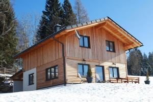 a log house in the snow in the woods at Chalet Langhans in Kamperkogel