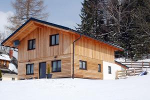 a log cabin in the snow with trees at Chalet Langhans in Kamperkogel