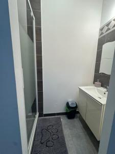 a small bathroom with a shower and a sink at Blue house in Saint-Gilles +5 photos