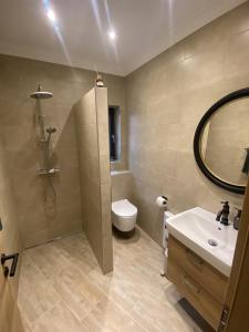 a bathroom with a sink and a toilet and a mirror at Cozy apartment in Irrel in Irrel