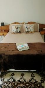 a bed with two objects on top of it at Karoo House Guesthouse in Somerset East +3 photos