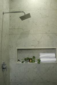 a bathroom with a shower with a shelf and towels at Ratan Vilas in Jaipur