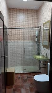 a bathroom with a shower and a toilet and a sink at APARTAMENTO La CAVA in Guadalcanal