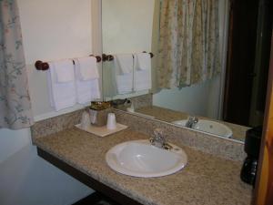 y baño con lavabo, espejo y toallas. en The Mountaineer Inn - Asheville, en Asheville