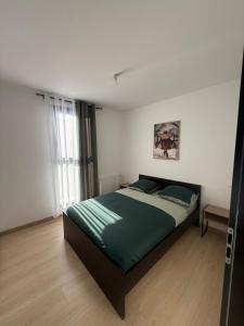 a bedroom with a large bed with a green blanket at Maison centre-ville in Dijon
