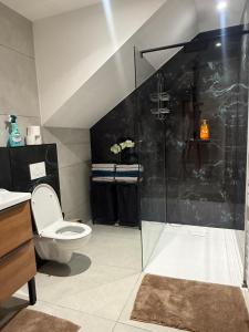 a bathroom with a toilet and a glass shower at Maison centre-ville in Dijon +11 photos