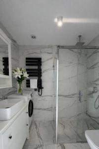 a bathroom with a glass shower and a sink at Apartamenty Odrodzenia 11 in Szczytno