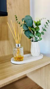 a table with two vases with plants on it at Monoambiente Eldorado 1 in Eldorado +23 photos
